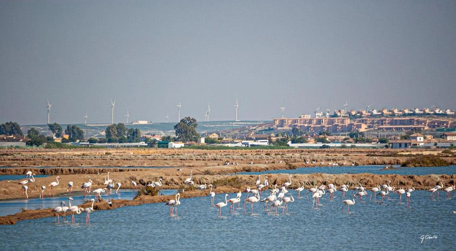 Appartamento Aires Del Sur Sanlúcar de Barrameda